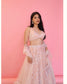 Baby pink lehenga