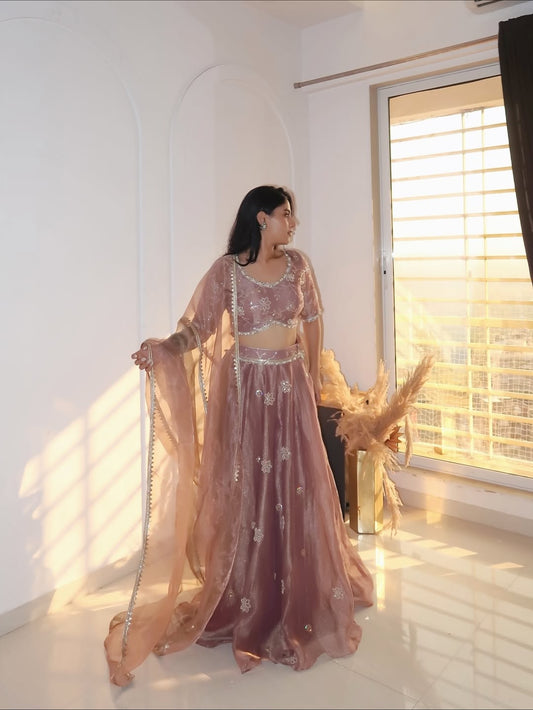 Dusty Rose Sheer Glow Lehenga Set
