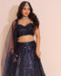 Moon Dreamy sequin lehenga