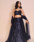 Moon Dreamy sequin lehenga