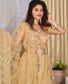 Peach and Gold Lehenga with Sequins work